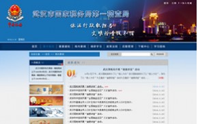 网页设计_武汉市国家税务局第一稽查局
